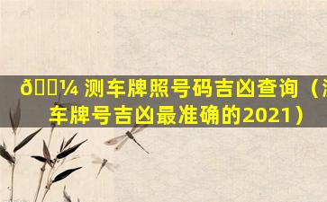 🌼 测车牌照号码吉凶查询（测车牌号吉凶最准确的2021）